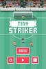 Tiny Striker screenshot 1