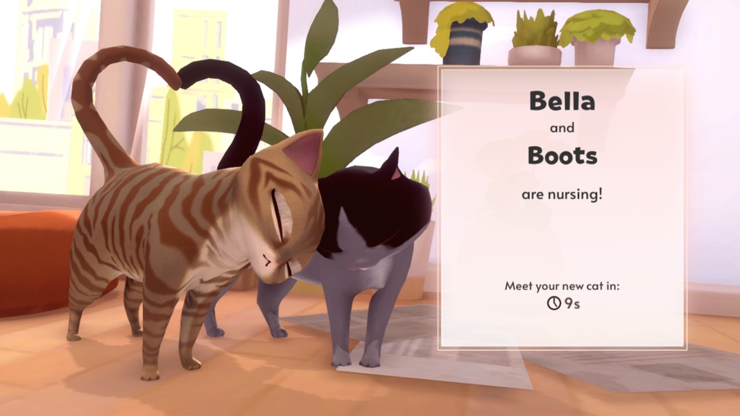My Cat Club - Preview 5