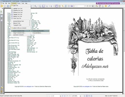 Foxit PDF Reader Portable screenshot 2