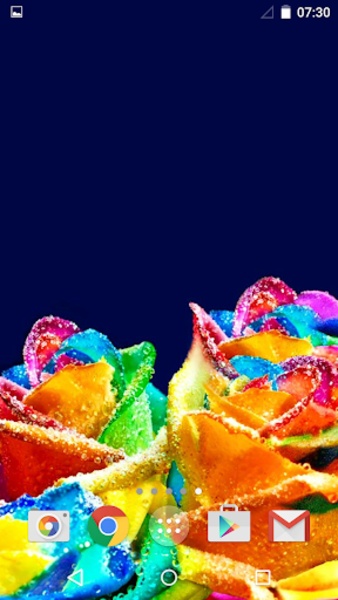 Roses - Preview 2