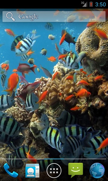 Colorful Tropical Fishes - Preview 3