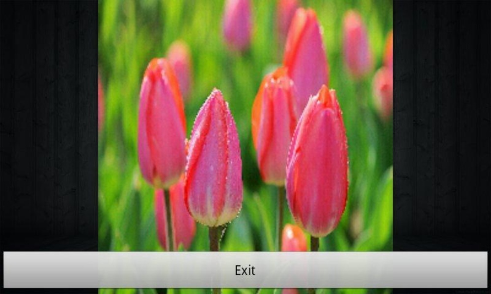 Photo Slideshow Maker - Preview 1