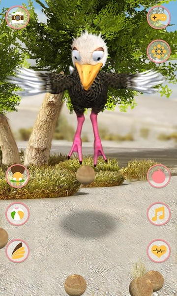 Talking Ostrich Free - Preview 5