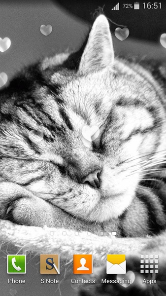 Cute Cats Live Wallpaper - Preview 4