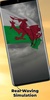 Wales Flag screenshot 5