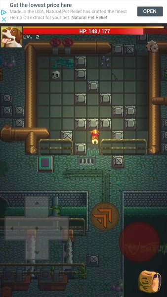 Doggo Dungeon: A Dog