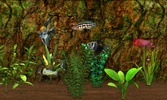 Fish Farm screenshot 9