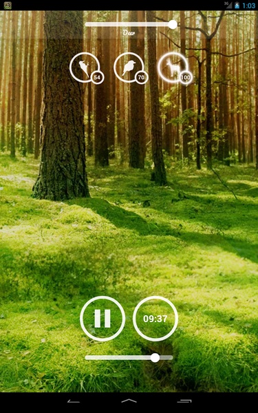 Forest Sounds - Preview 1