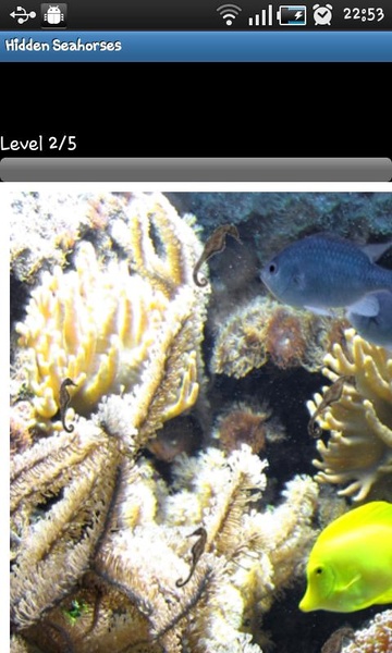 Hidden Seahorses - Preview 1