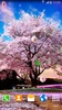 Sakura Garden Live Wallpaper screenshot 6