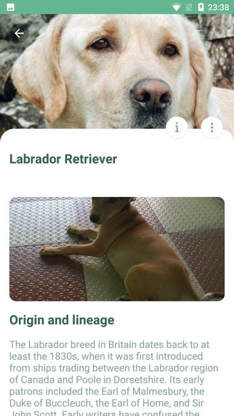 NatureID - Preview 1