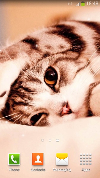 Cute Cats Live Wallpaper - Preview 14