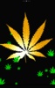 Rasta Weed Live Wallpaper screenshot 6