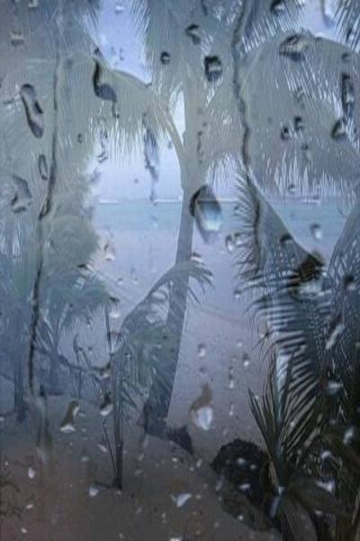 Beach Rain Sounds - Preview 2