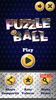 Puzzle Ball screenshot 8