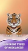 Niedlicher Tiger Hintergrund screenshot 20