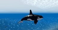 Orca Simulator screenshot 1