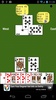 Pinochle screenshot 1