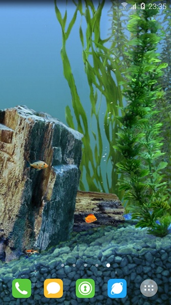 aquarium - Preview 8