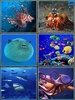 Sealife Jigsaw Puzzles screenshot 1