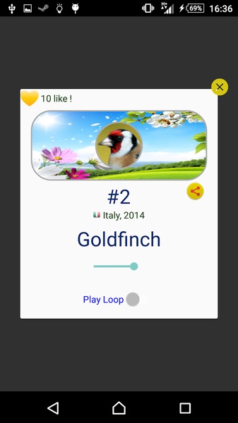 Goldfinch Hybrid Trainer - Preview 4