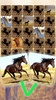 Horse Puzzles Collection screenshot 7