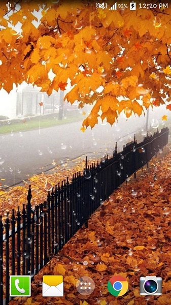 Maple Droplets Live Wallpaper - Preview 8