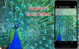 3D Peacock Wallpapers - Screen Lock, Sensor, Auto screenshot 7