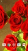 गुलाब के फूल screenshot 1