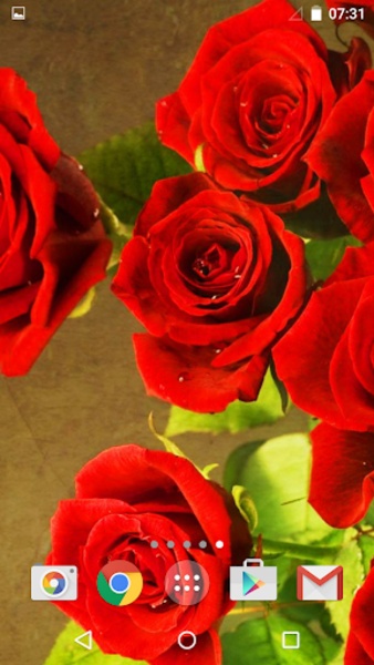 Roses - Preview 1
