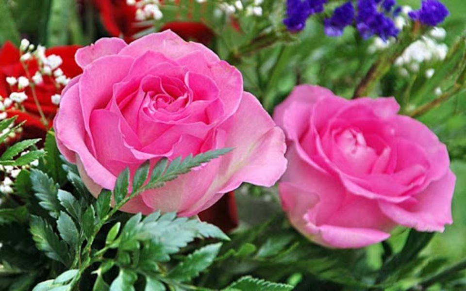 Puzzle - Flowers - Preview 1