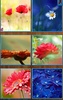 Flower Jigsaw Puzzles screenshot 3