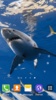 Shark Live Wallpaper screenshot 5