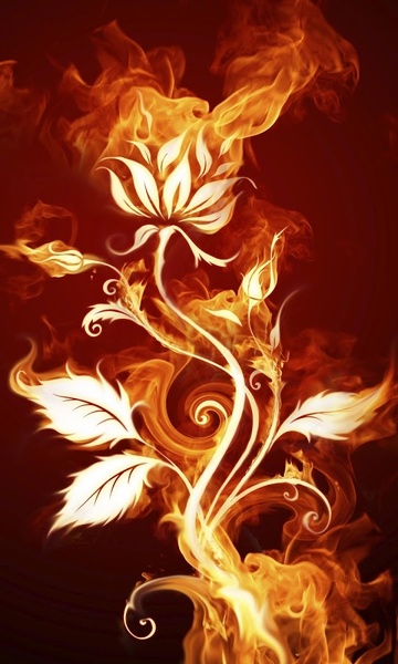 Wallpapers World - Preview 11