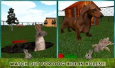 Pet Rabbit Vs Stray Dog 3D screenshot 15