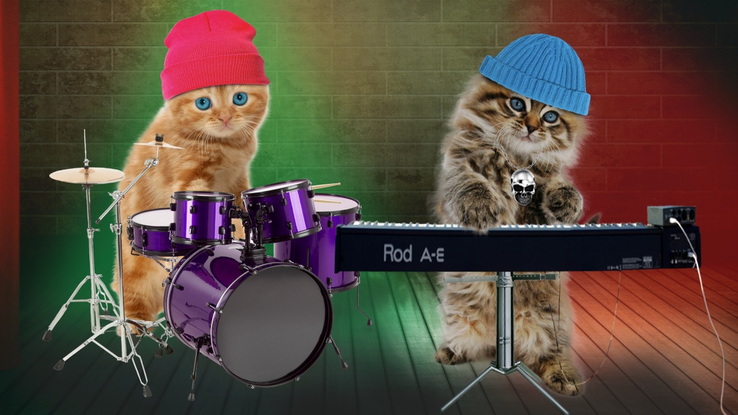 Funny Talking Cats - Preview 3