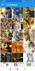 Cat Wallpapers: HD Images, Free Pics download screenshot 4