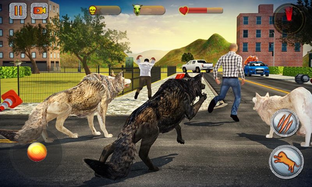Wolf Pack Attack 2016 - Preview 15
