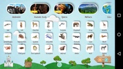 Wikids, Encyclopedia For Kids! screenshot 5