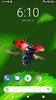 Bugs Life 3D Free - 3D Live Wa screenshot 11