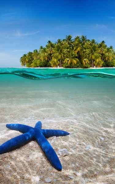 Paradise Island Live Wallpaper - Preview 5
