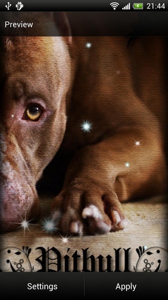 Pitbull Dog Live Wallpaper - Preview 7