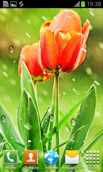 My Photo Rain Live Wallpaper - Preview 3