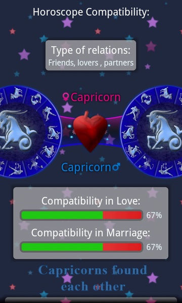 Horoscope of Birth - Preview 5