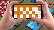 Bingo Game screenshot 3