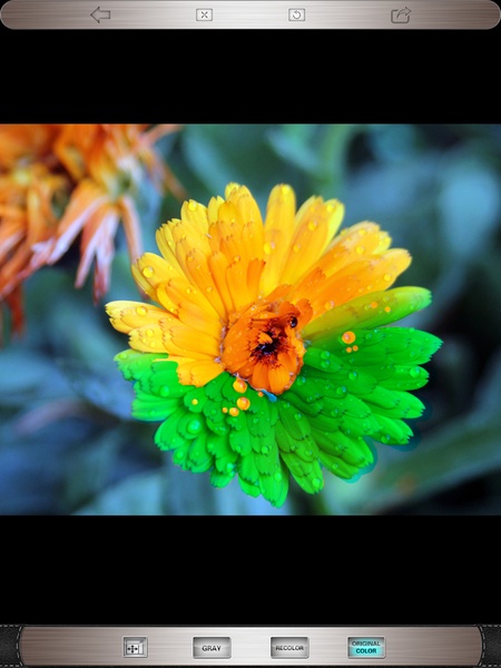 Color Effects Free - Preview 8