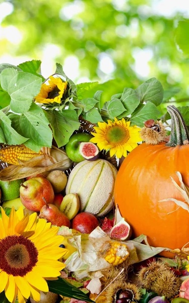 Thanksgiving Live Wallpaper - Preview 8
