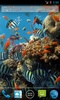 Colorful Tropical Fishes screenshot 4