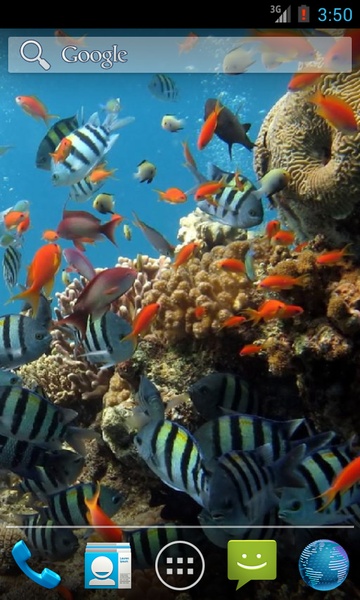Colorful Tropical Fishes - Preview 4