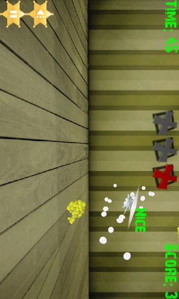 Fruit Shoot Ninja - Preview 5